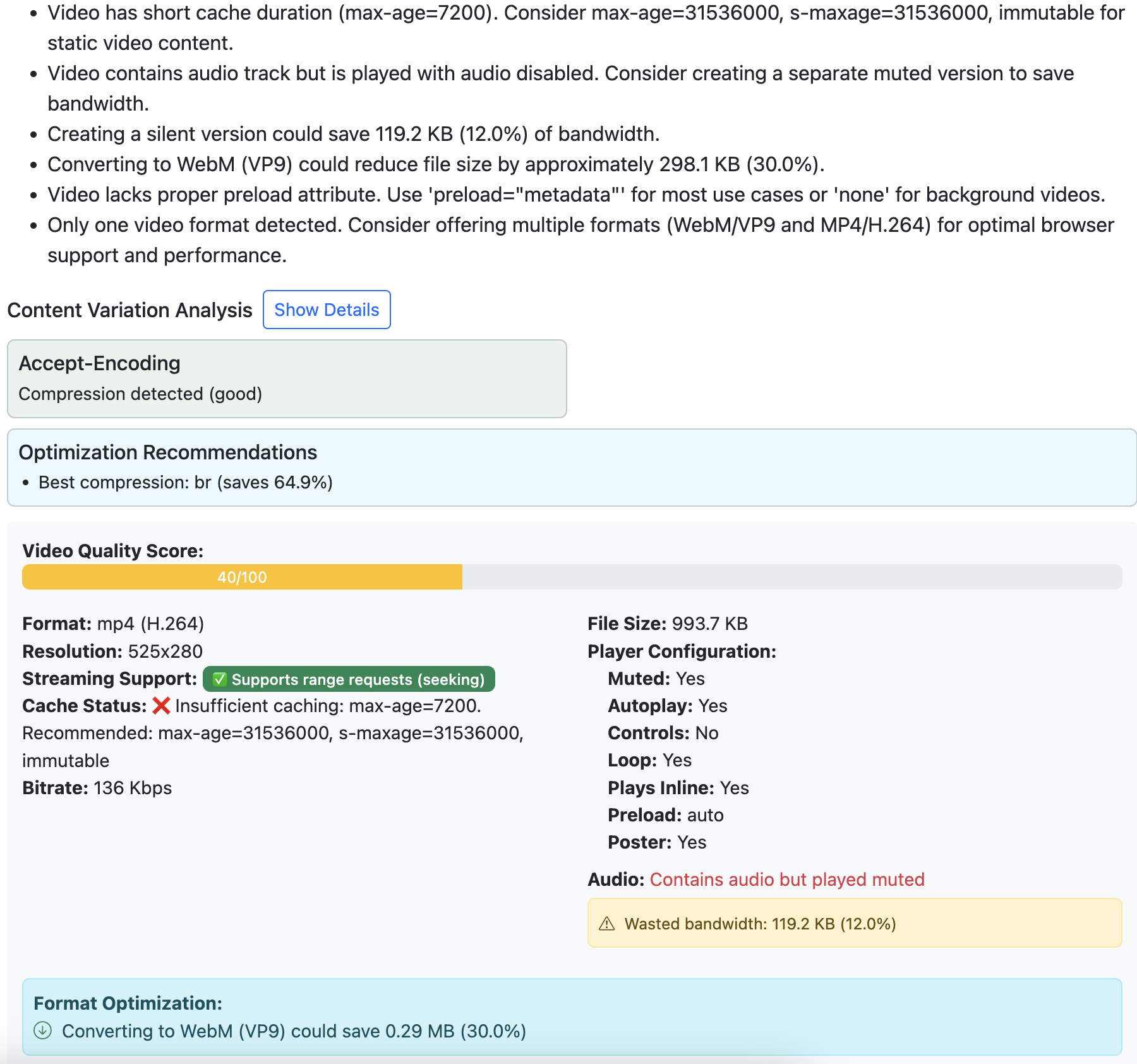 Sample CDN Audit Report